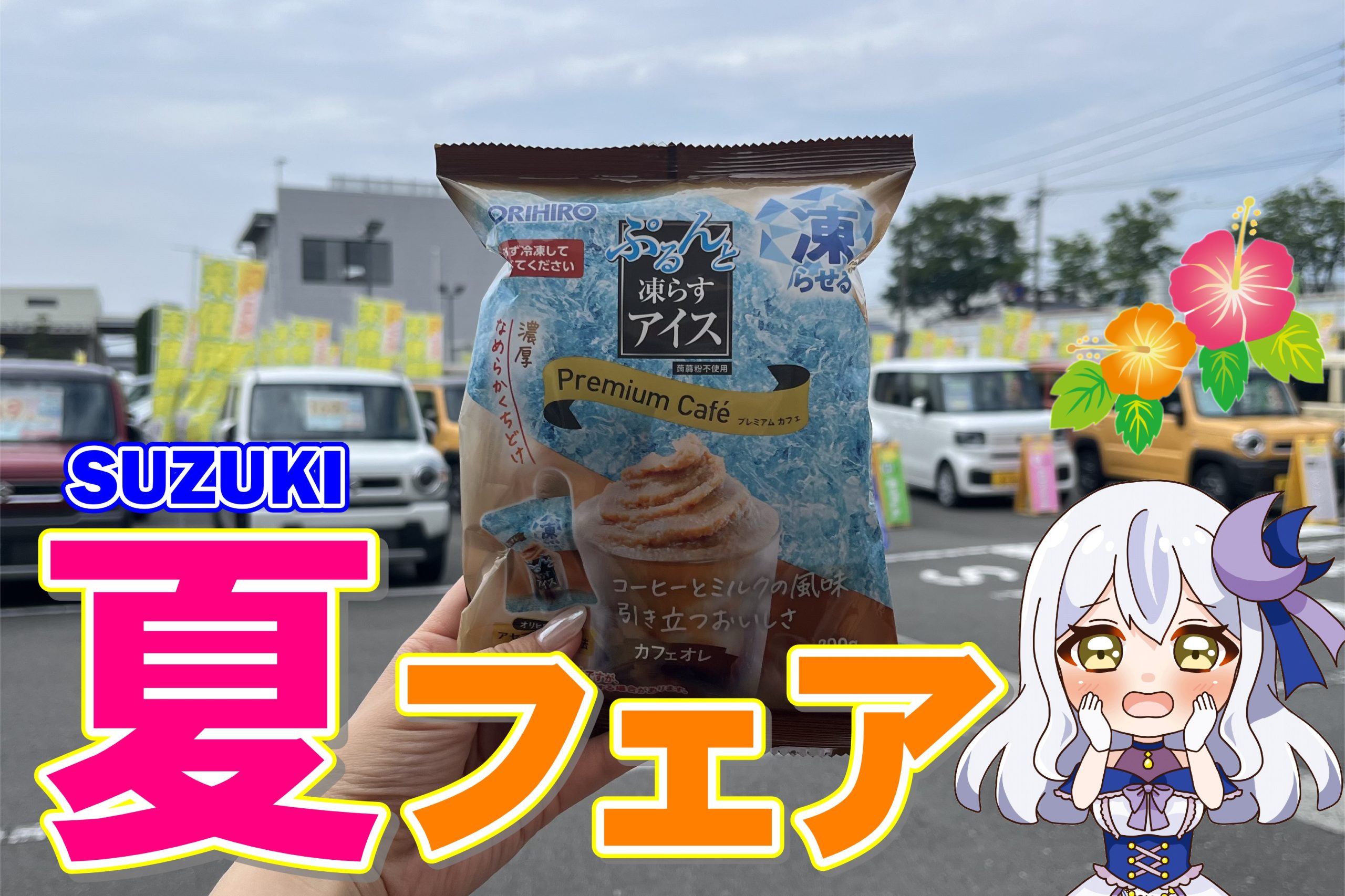☆⋆⸜ スズキ夏フェア ⸝⋆☆